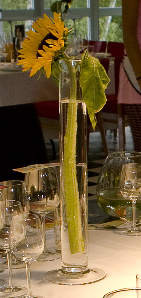 Glass vase H: 50cm Foot: Diameter 10 cm Tube: Diameter 6 cm