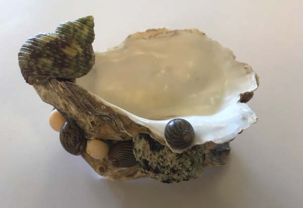 Salt and pepper shakers in oyster shells in pairs